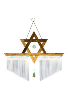 פעמון דגל 2 1